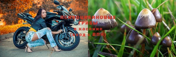 метадон Армянск