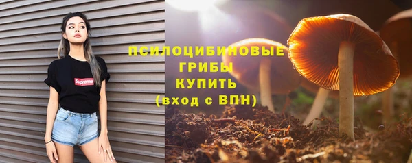 Альфа ПВП Арсеньев