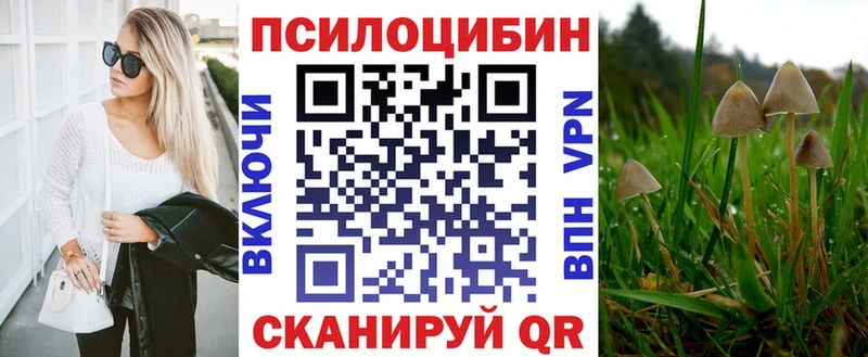 Галлюциногенные грибы GOLDEN TEACHER  купить закладку  МЕГА онион  Бабушкин 